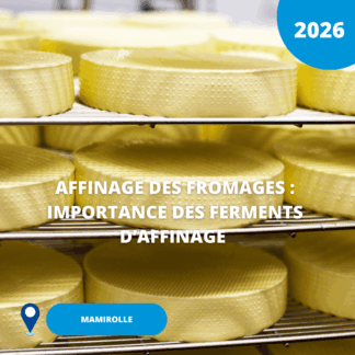 N°20/ Affinage des fromages : importance des ferments d’affinage/ 2026 (Mamirolle)