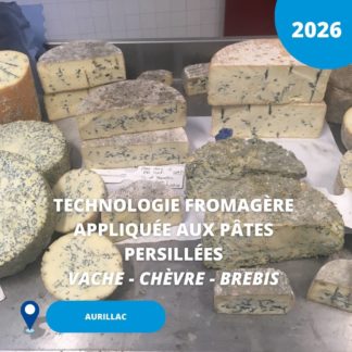 N°11/ Technologie fromagère appliquée aux pâtes persillées/ 2026 (Aurillac)