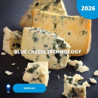 N°25/ Blue cheese technology / 2026 (Aurillac)