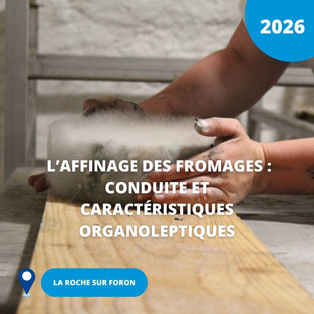 N°09/ L’affinage des fromages : conduite et caractéristiques organoleptiques / 2026 (La Roche sur Foron)