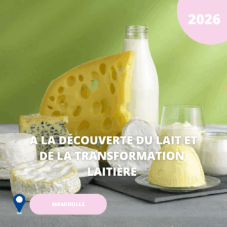 N°01/ À la découverte du lait et de la transformation laitière/ 2026 (Mamirolle)