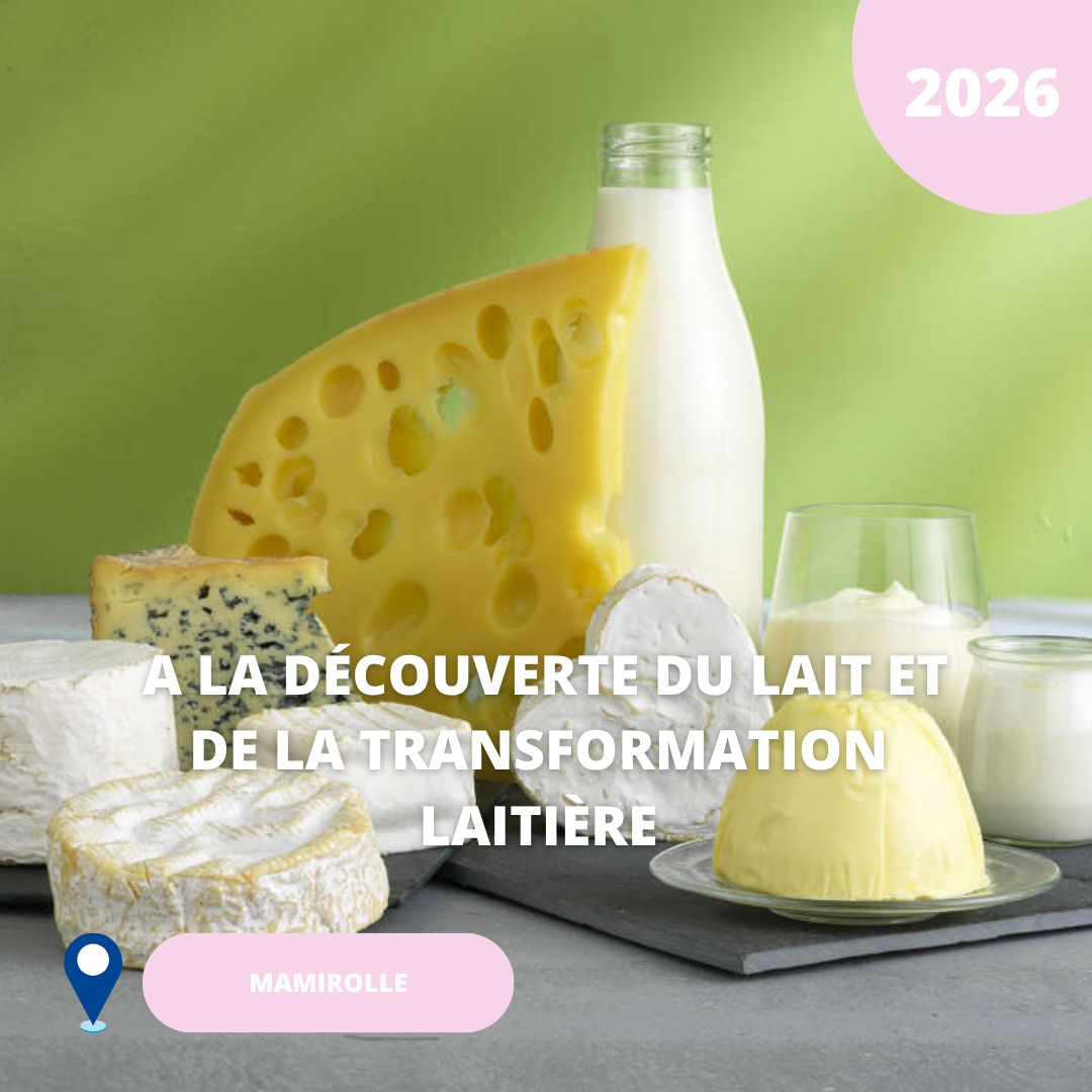 N°01/ À la découverte du lait et de la transformation laitière/ 2026 (Mamirolle)