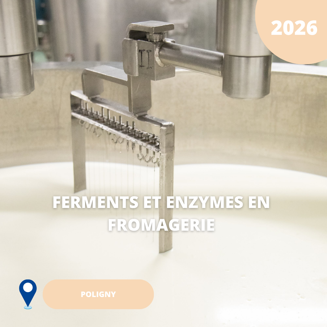 N°05/ Ferments en enzymes en fromagerie/ 2026 (Poligny)