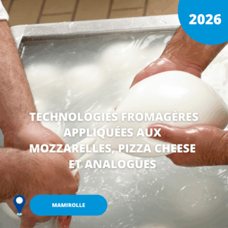 N°18/ Technologies et propriétés fonctionnelles des mozzarelles, pizza cheese et leurs analogues/ 2026 (Mamirolle)