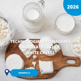 N°19/ Technologies fromagères internationales "white cheese"/ 2026 (Mamirolle)